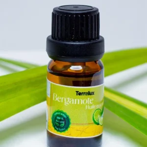 Huile Essentielle - Bergamote