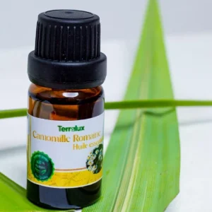 Huile Essentielle - Camomille romaine