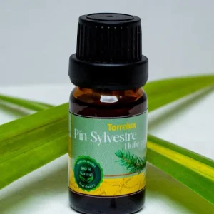 Huile Essentielle - Pin sylvestre